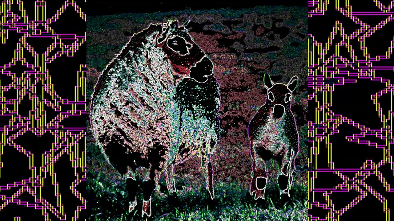 unnamed song about sheep