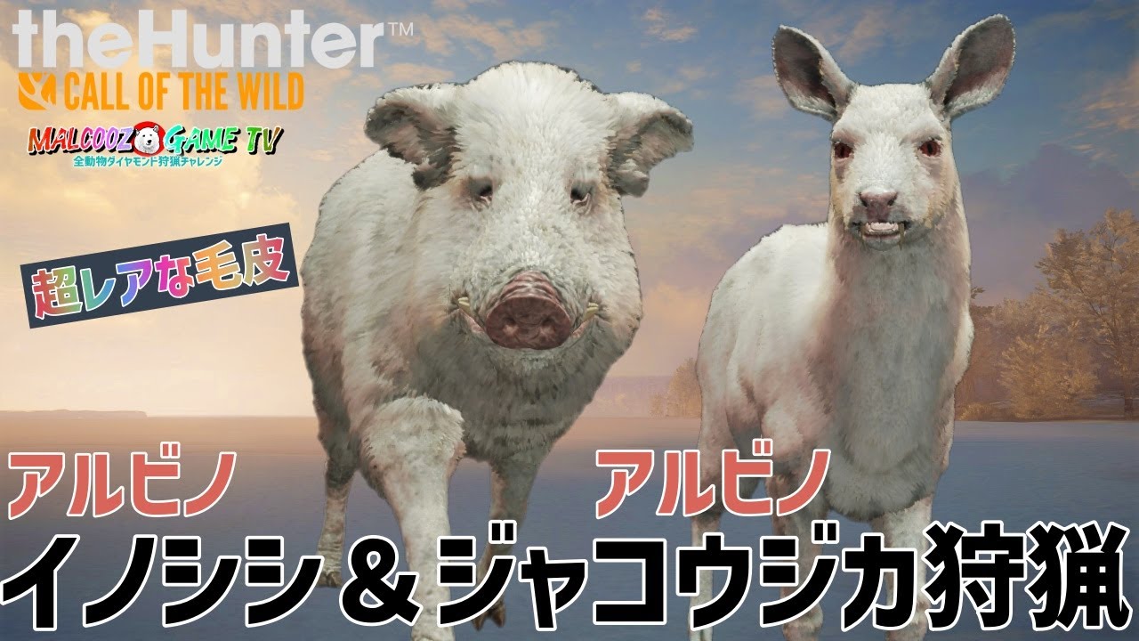 【ザハンターコールオブザワイルド】激レア！アルビノ最高ぅ！！【theHunter: Call of the Wild 】