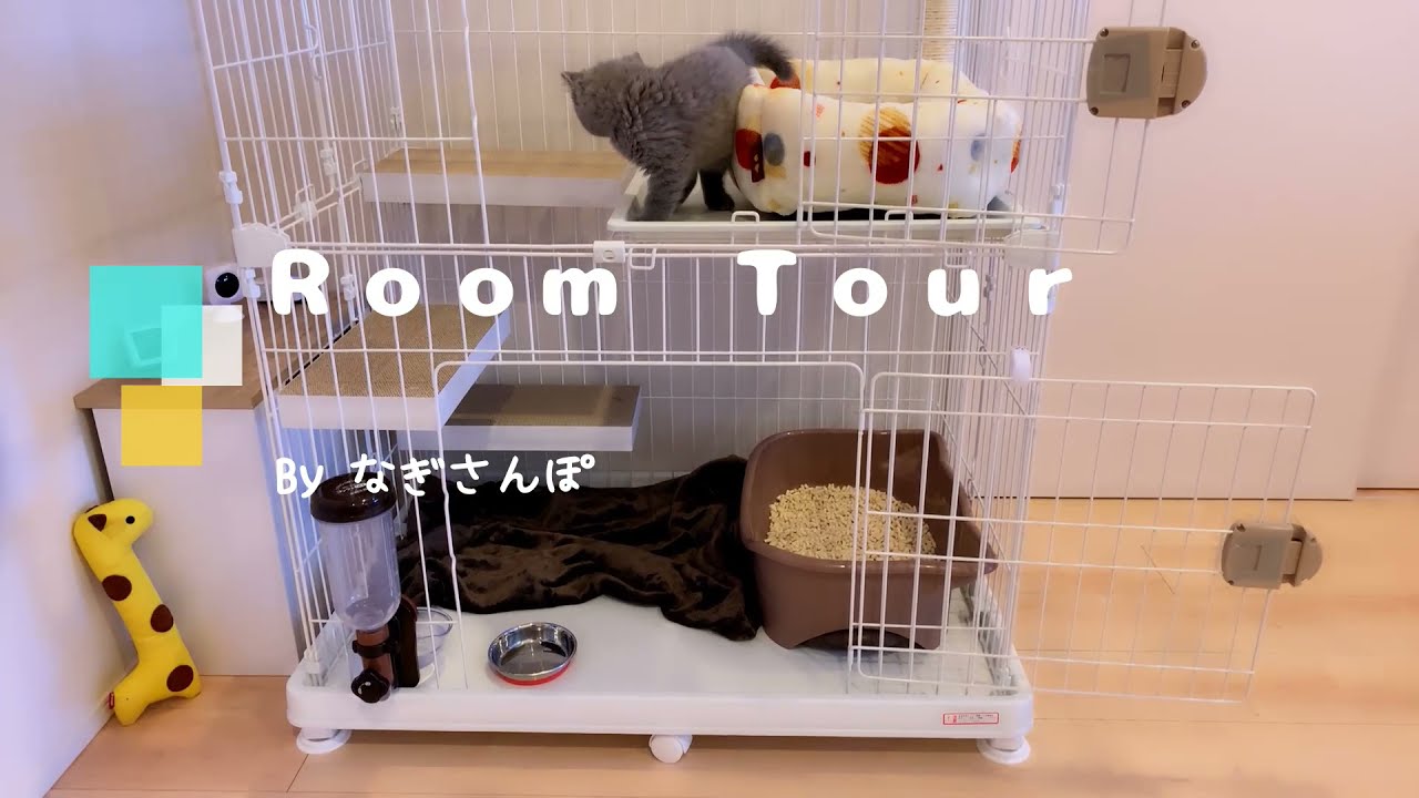 【ルームツアー】なぎルームツアー 　猫アイテム　ケージ【Room  Tour】