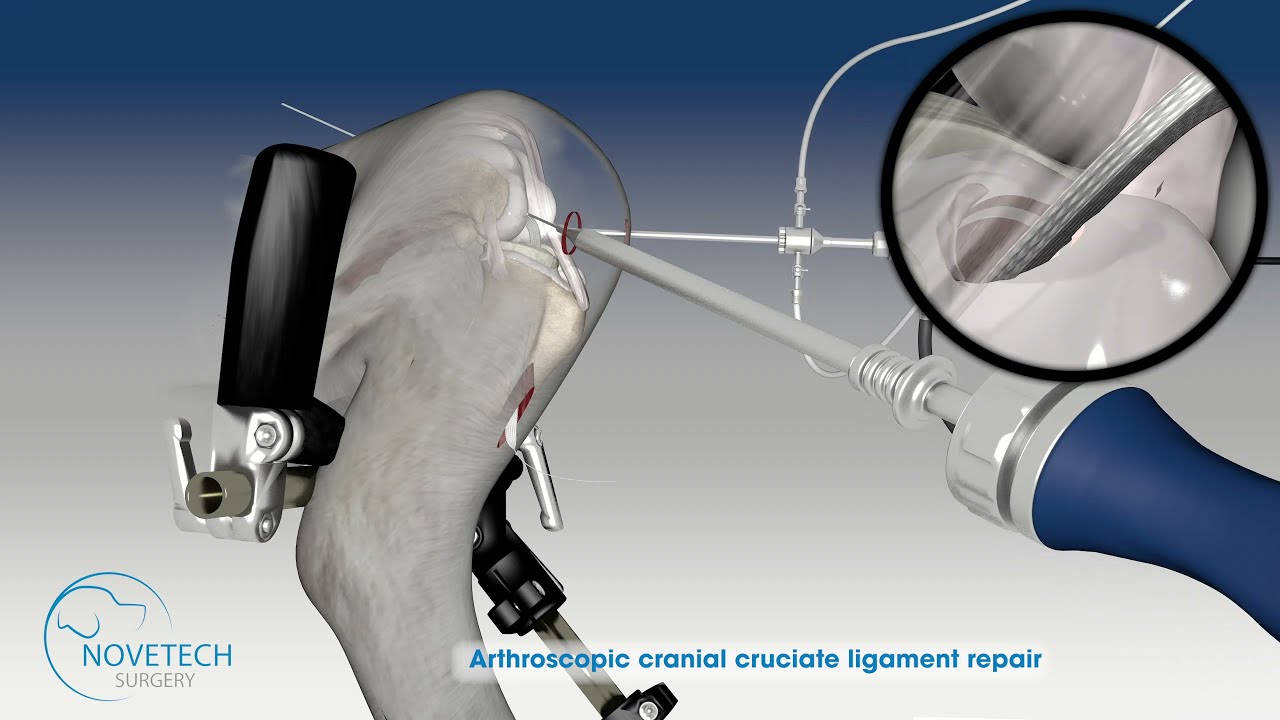 Arthroscopic cranial cruciate ligament repair in the dog with NOVALIG&reg;