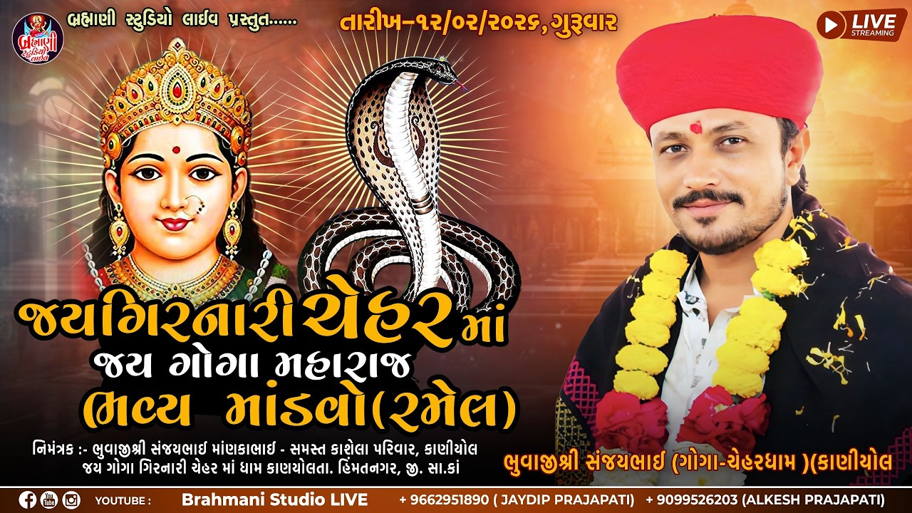🔴LIVE | જય ગિરનારી ચેહર માતાજી તથા ગોગા મહારાજનો ભવ્ય માંડવો -રમેલ / કાણીયોલ