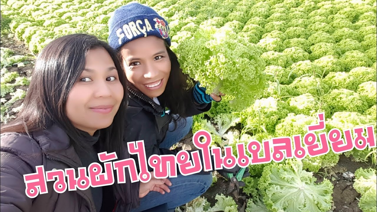 เยี่ยมสวนผักไทยในเบลเยี่ยมหน้าหนาวby Eidsy Easy