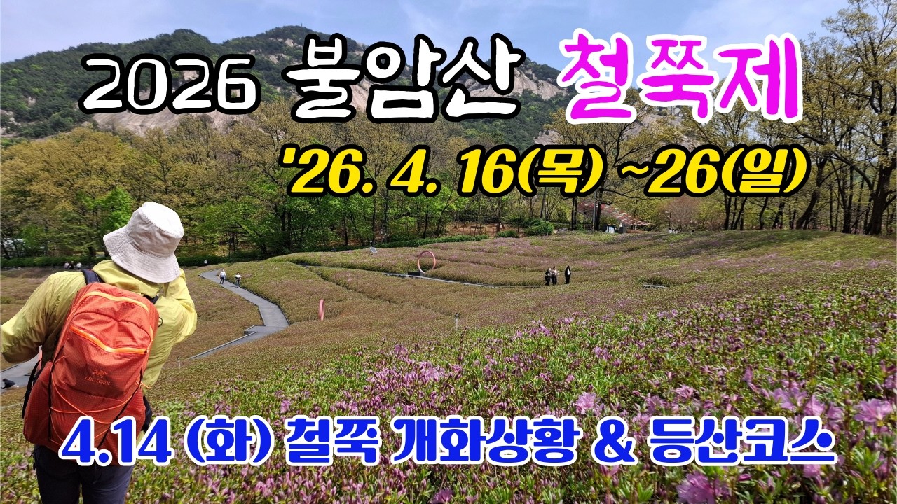 4.14 (화) 미리 가본 불암산 철쭉제 개화상황 & 등산초보 산 추천, 역대급 축제 개최