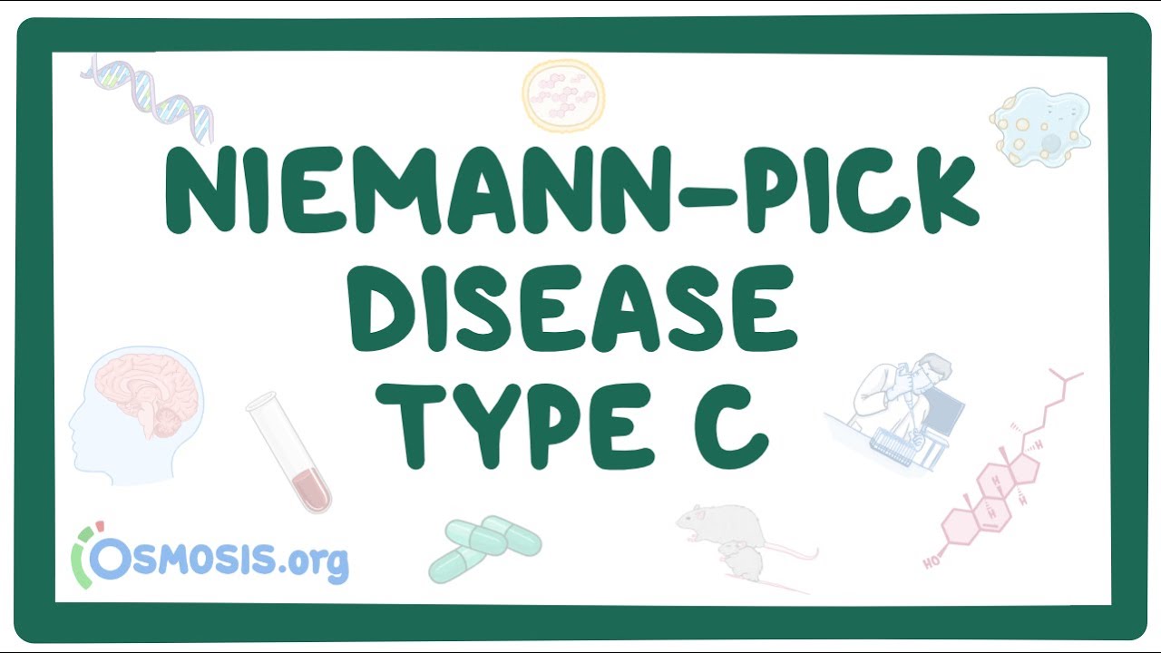 Niemann-Pick disease Type C - causes, symptoms, diagnosis, treatment, pathology