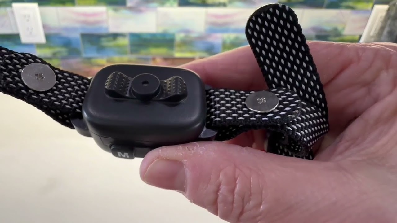 Anti Barking Collar for Small Dogs is a Game Changer!