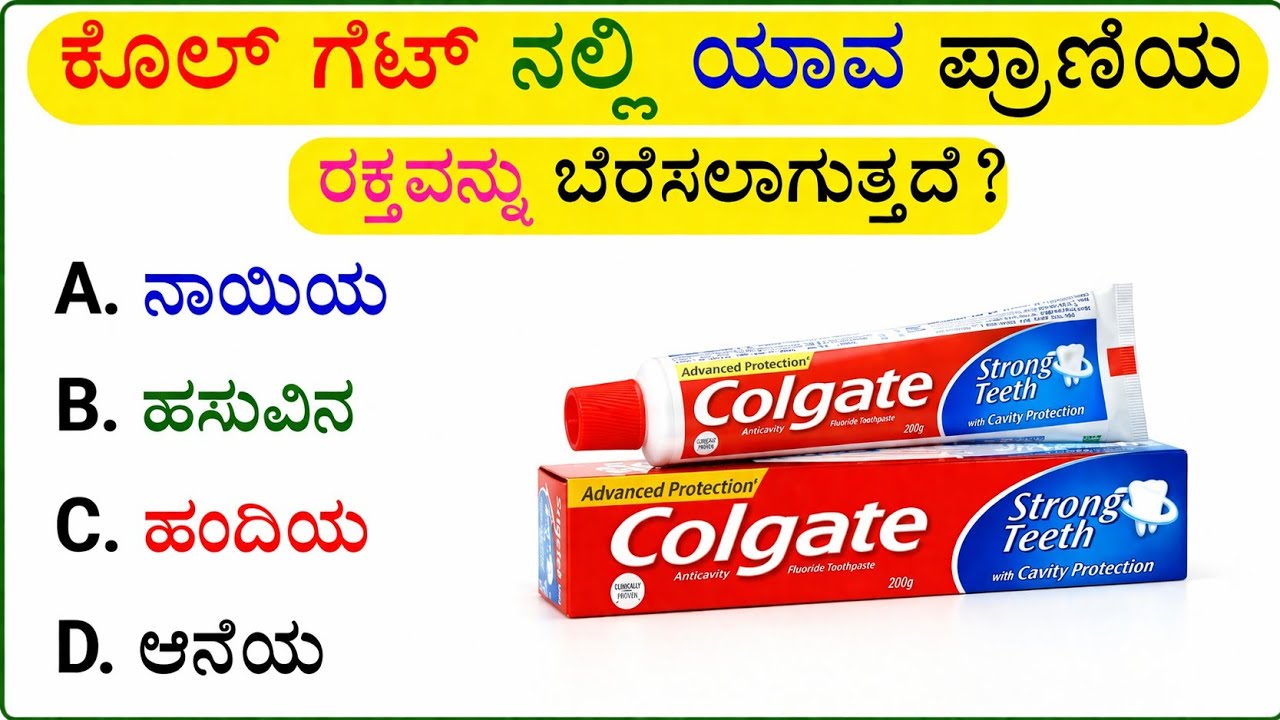 Simple Kannada GK questions|ಸಾಮಾನ್ಯ ಕನ್ನಡ ಪ್ರಶ್ನೆ ಉತ್ತರಗಳು|samanya Kannada quiz|ನಿಮ್ಮ ಉತ್ತರ ಕಾಮೆಂಟ್ 