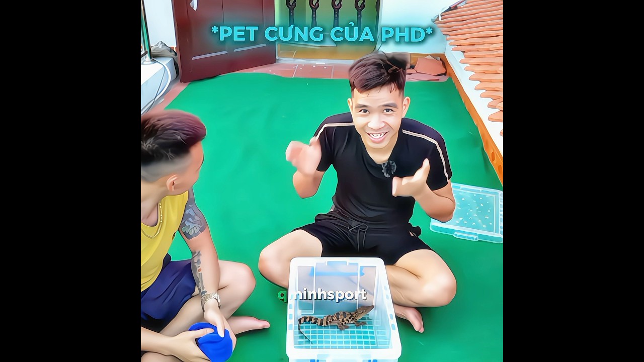 Pet Cưng PHD V&agrave; C&aacute;i Kết