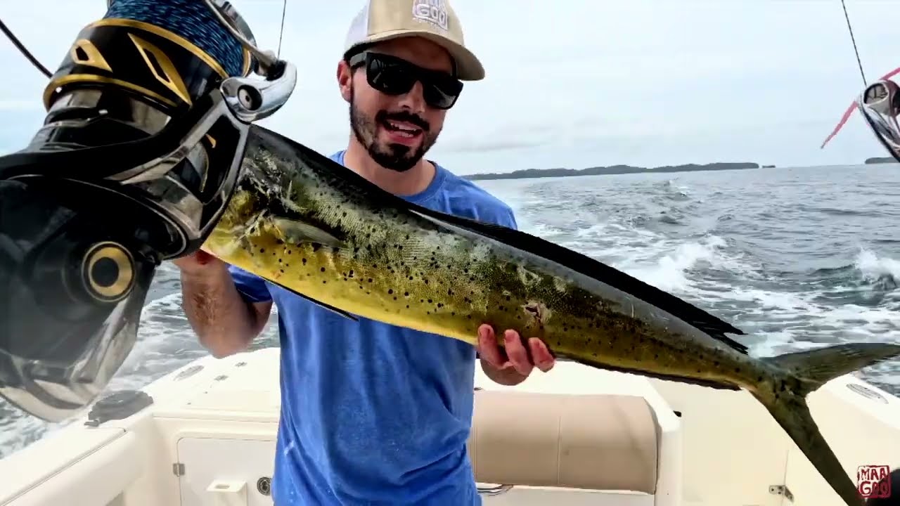 Pearl Islands Panama, Whale season and Fishing with Blue Adventures Panama