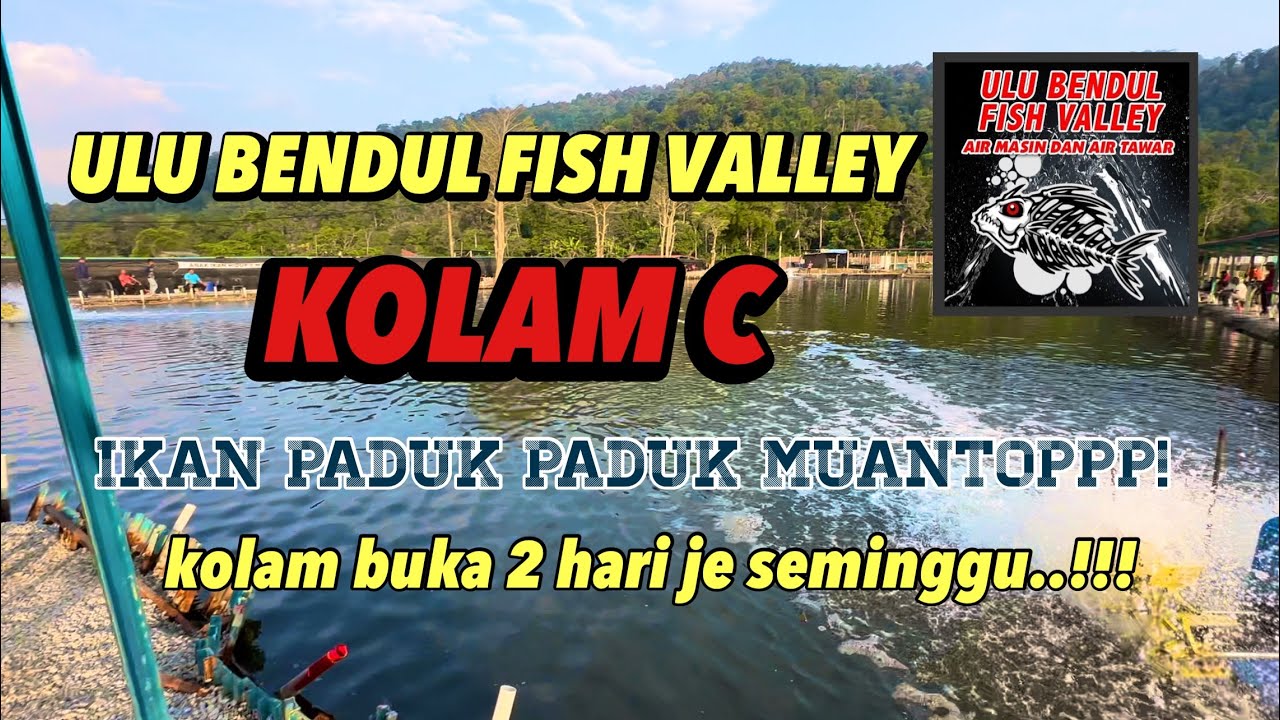 KOLAM C - ULU BENDUL FISH VALLEY | KOLAM BUKA 2 kali SEMINGGU!!!