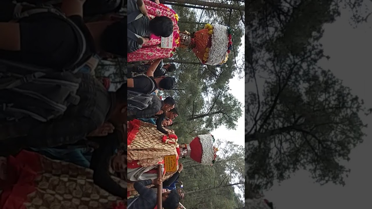 Dev hurang narayan ji dev pasakot ji dance