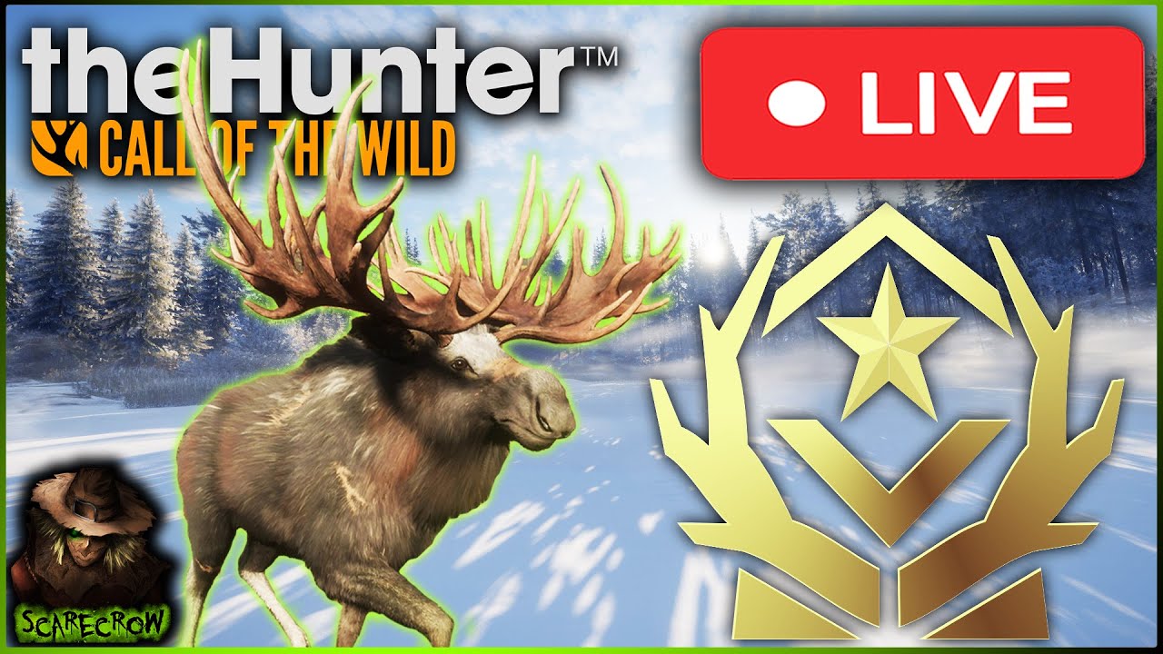 🔴LIVE🔴 Great One Moose Grind Begins! Oh And All Fur Types Are Rares... Call of the wild