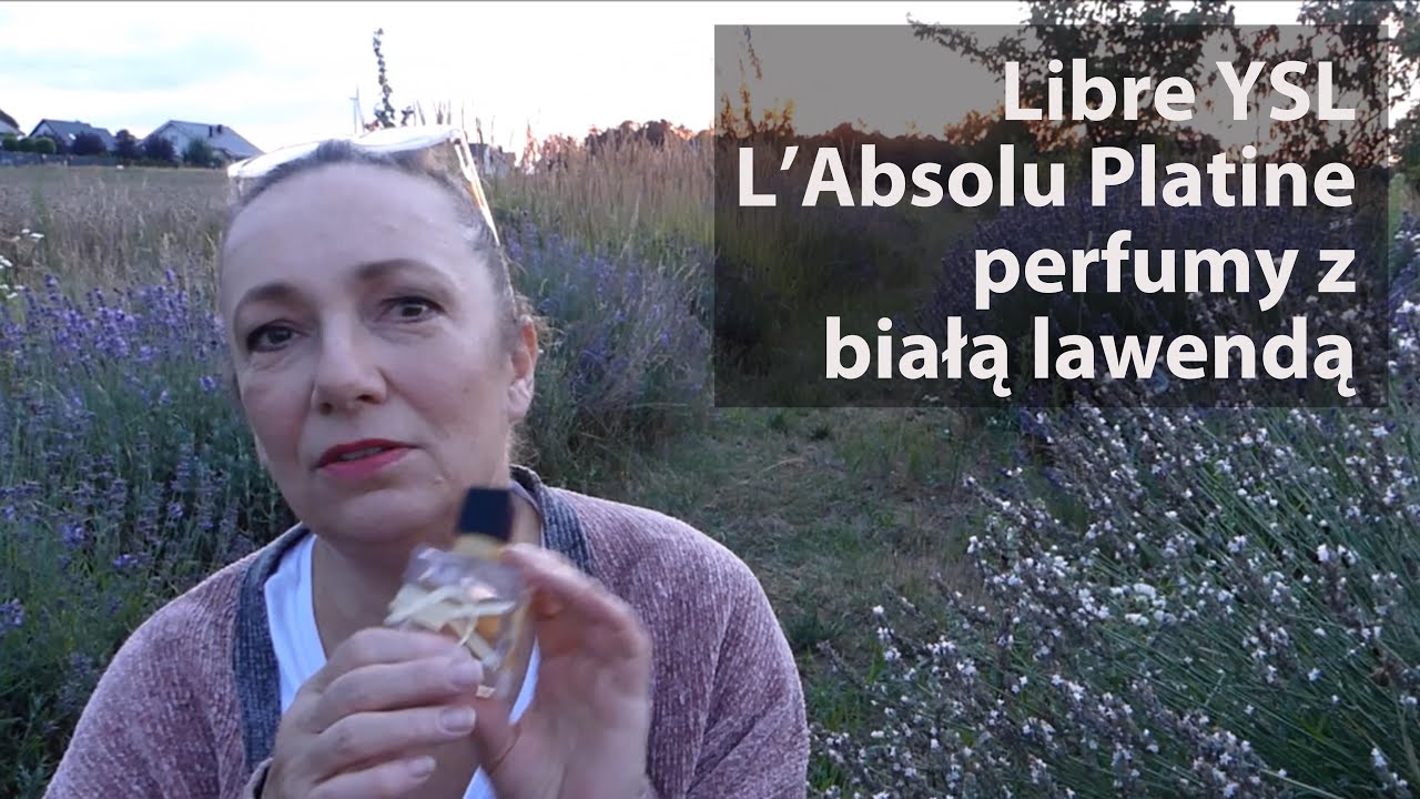 Libre YSL wersja platynowa z białą lawendą