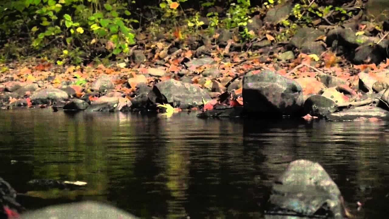 BONES – LayMeInTheRiver (Slowed Down)