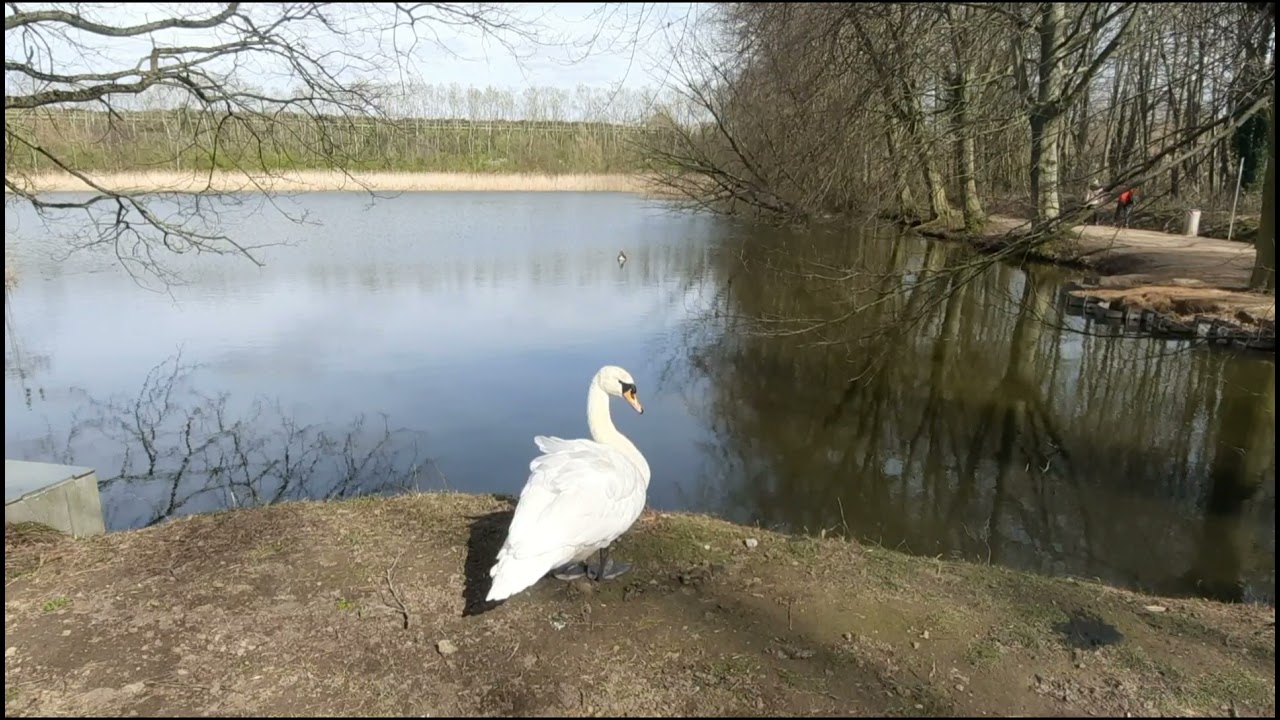 Abdij van Park, Leuven, Belgium - 2021