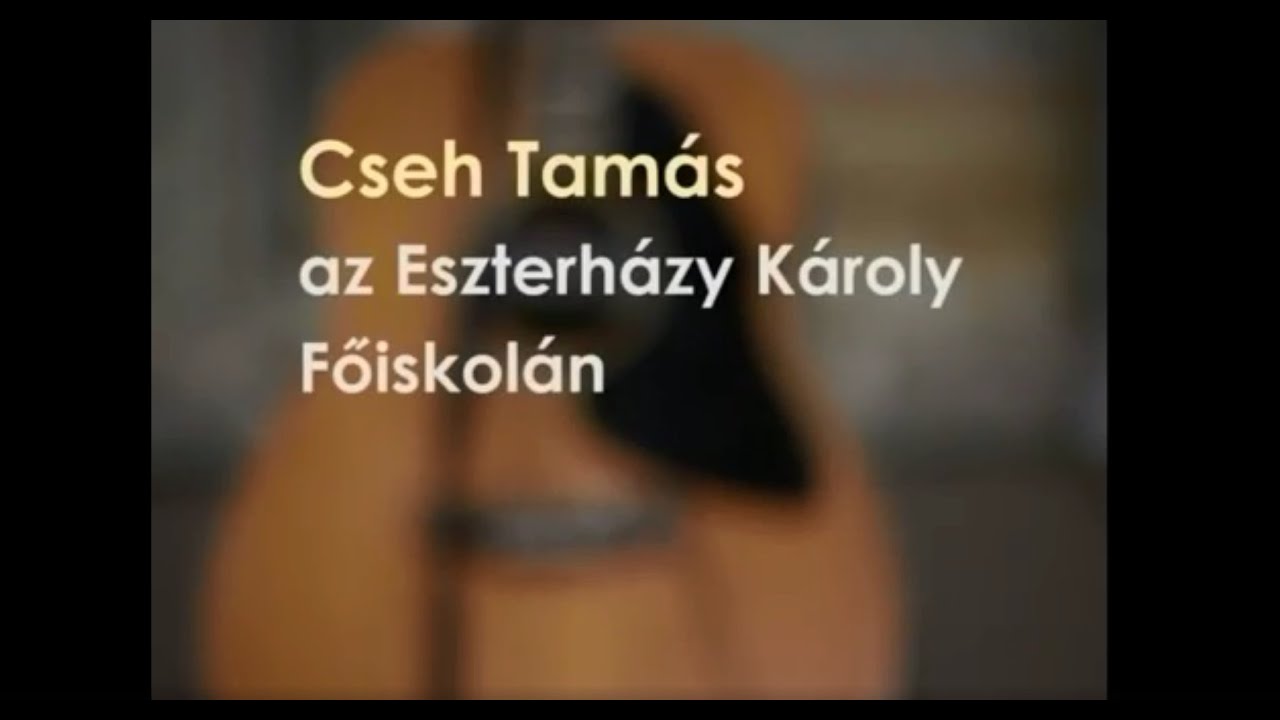 Cseh Tamás a Líceumban (2004)