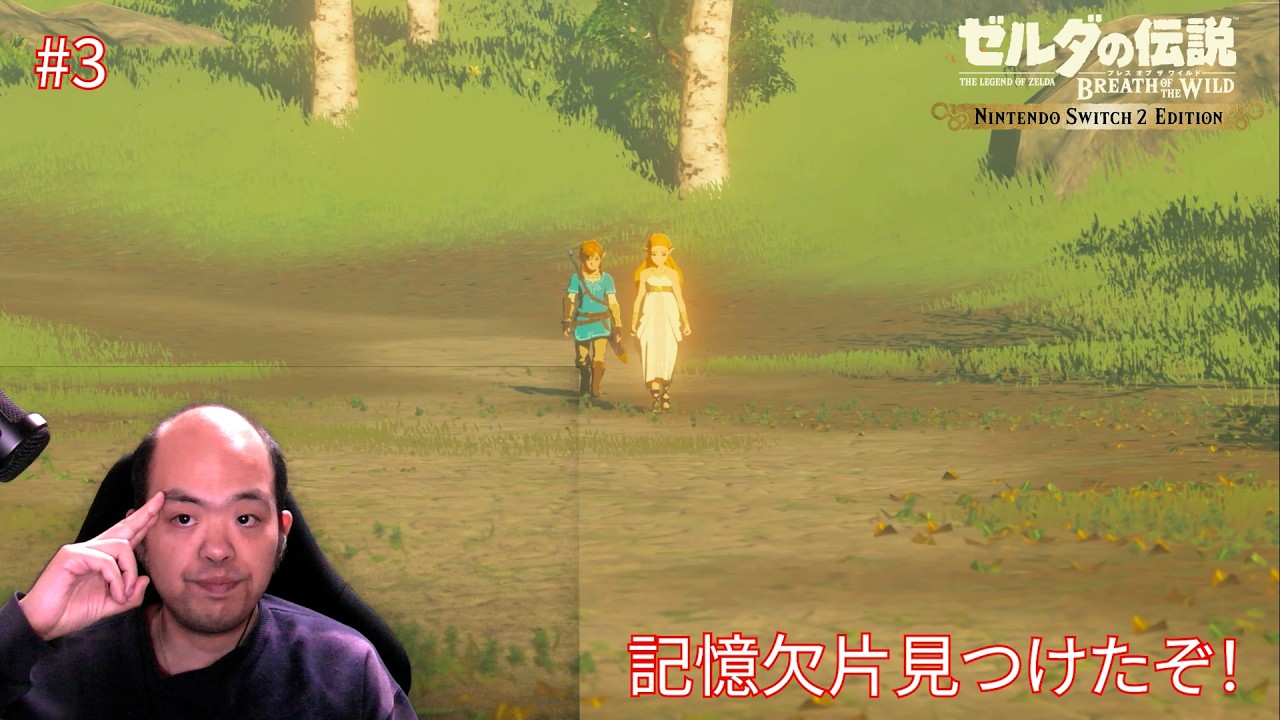 【ゼルダの伝説 ブレス オブ ザ ワイルド】約束された神ゲーやっていくぞ（switch２版）【#3】