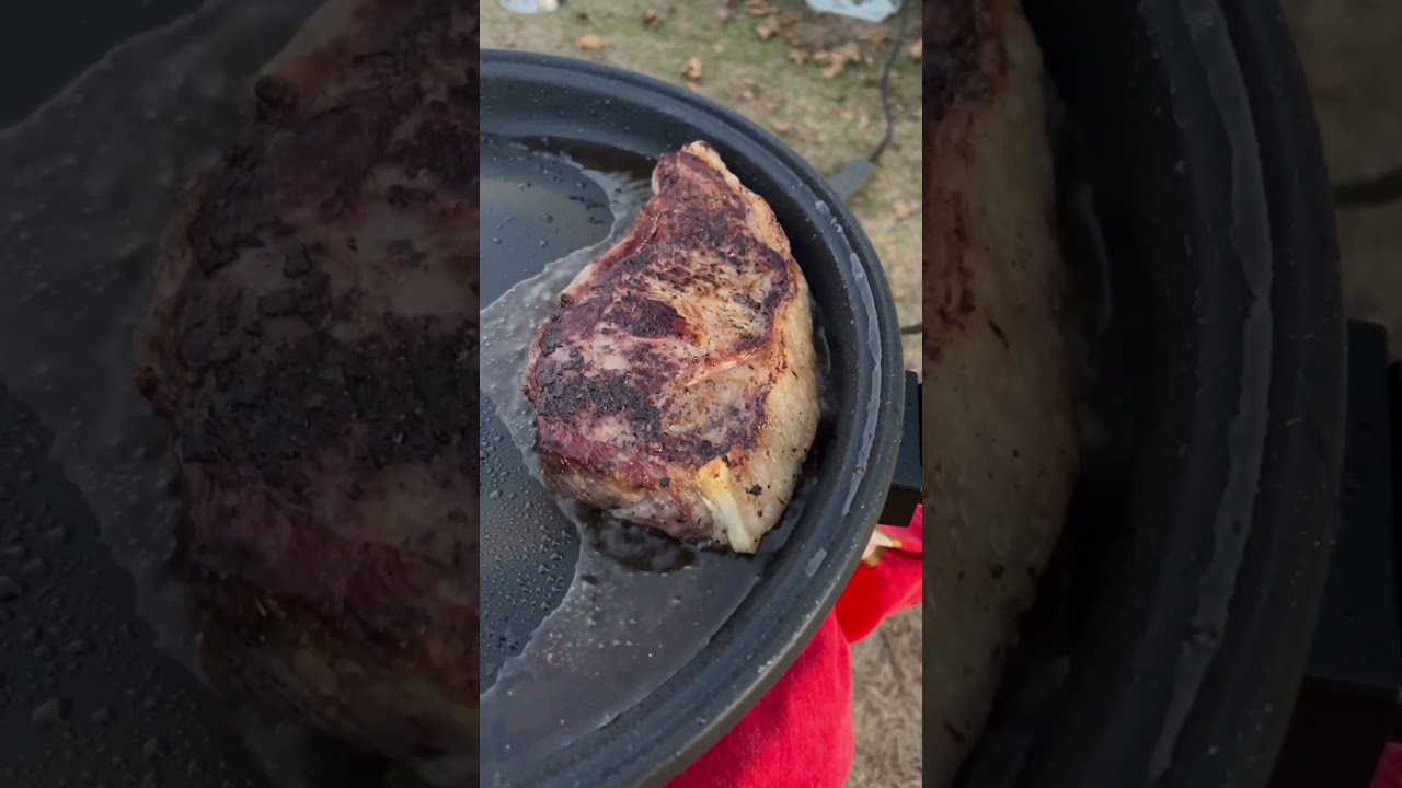 Vonshef multi cooker. Cooking a prefect Steak. Camping. Caravanning. Caravan Gadget