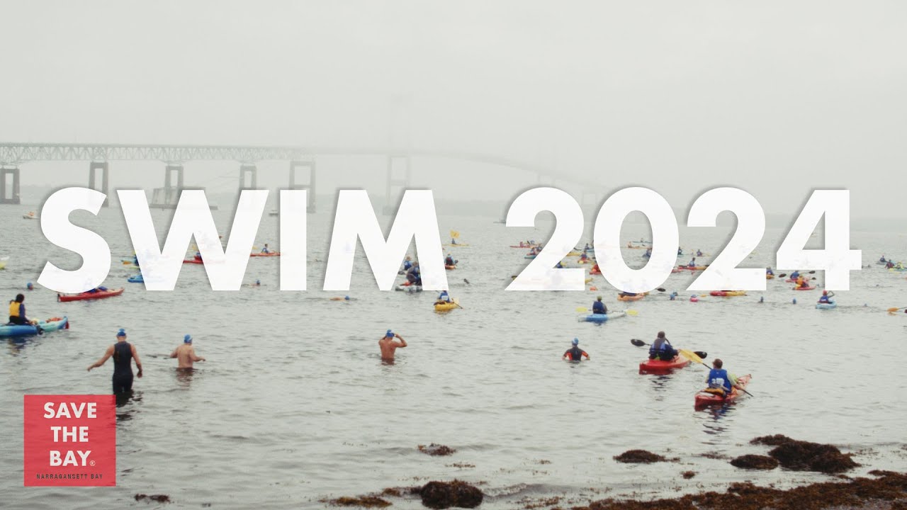 The Save The Bay Swim - 2024