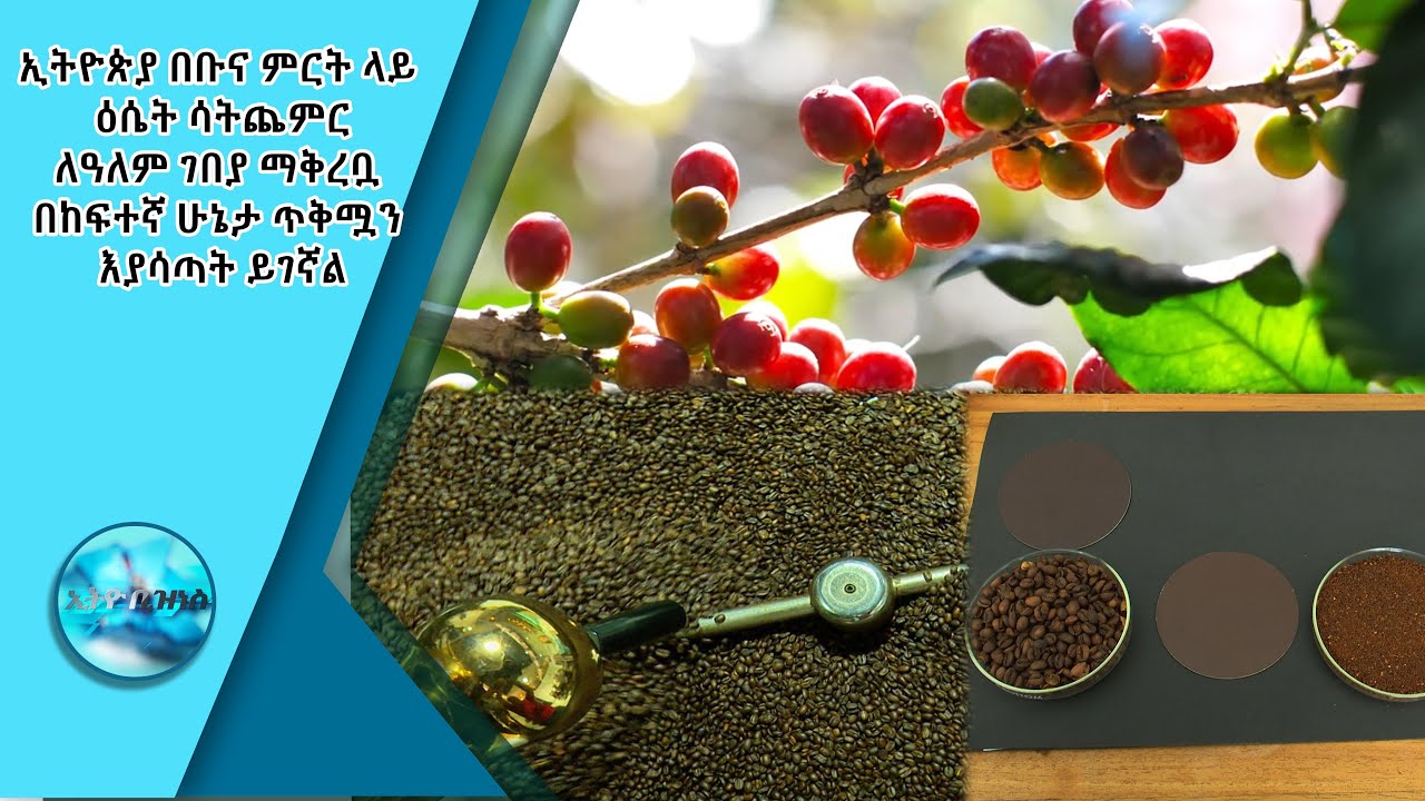 ዕሴት የተጨመረበት ቡና ከአረንጓዴ ቡና ከአራት ዕጥፍ በላይ በሆነ ዋጋ ይሸጣል/Ethio Business
