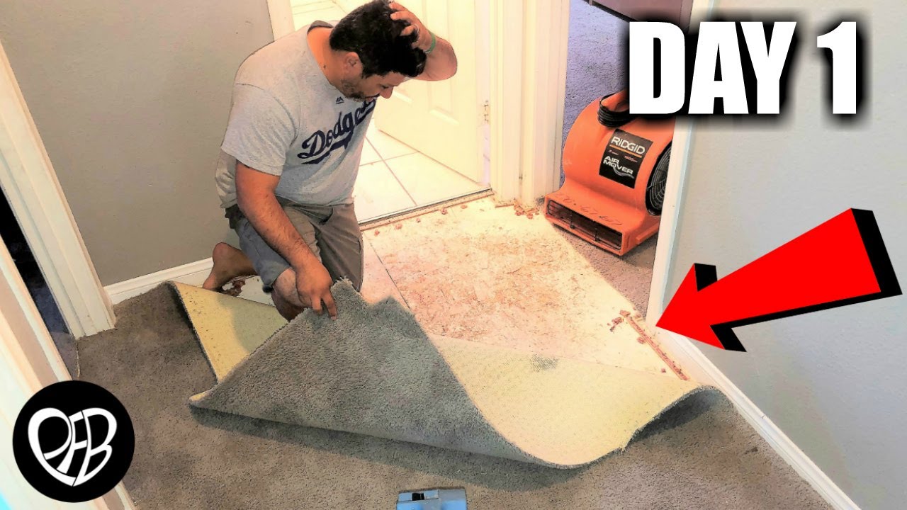 OUR HOUSE FLOODED while ASLEEP | Our Clogged Bathroom Toilet Flooded the House | HOUSE FLOOD DAMAGE
