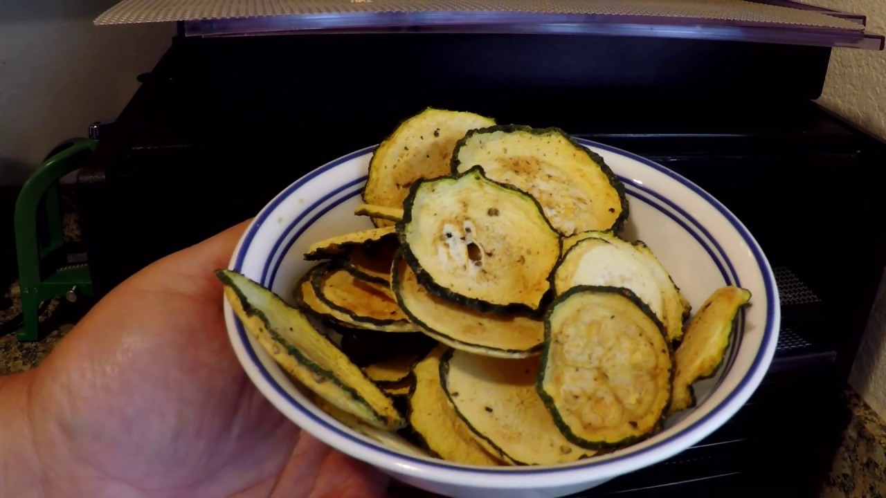 Healthy, Delicious Plant Based Zucchini Chips YUM!