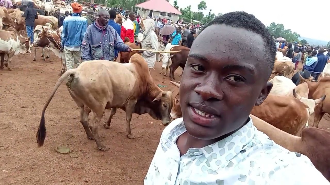 A VISIT TO THE MARKET 😃😃 VERY AMAZING 🤩