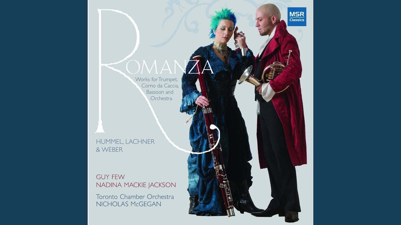 Grand Concerto In F Major for Bassoon and Orchestra: I. Allegro moderato