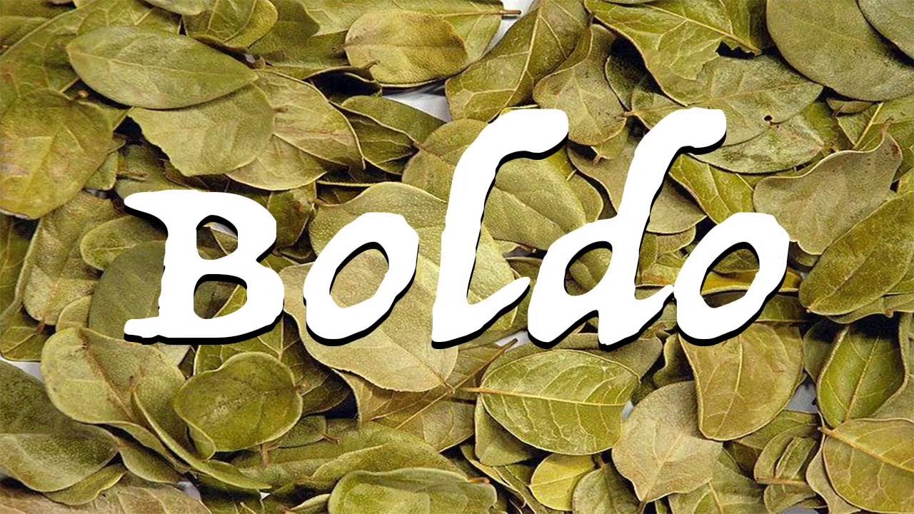 Benefits of Boldo ; liver diseases