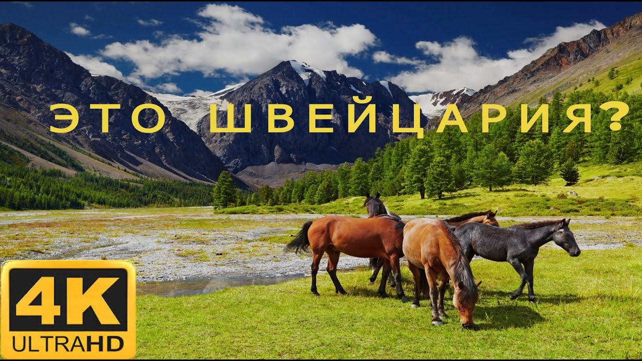 Nature Kyrgyzstan Суусамыр жайлоосу. Это Швейцария???