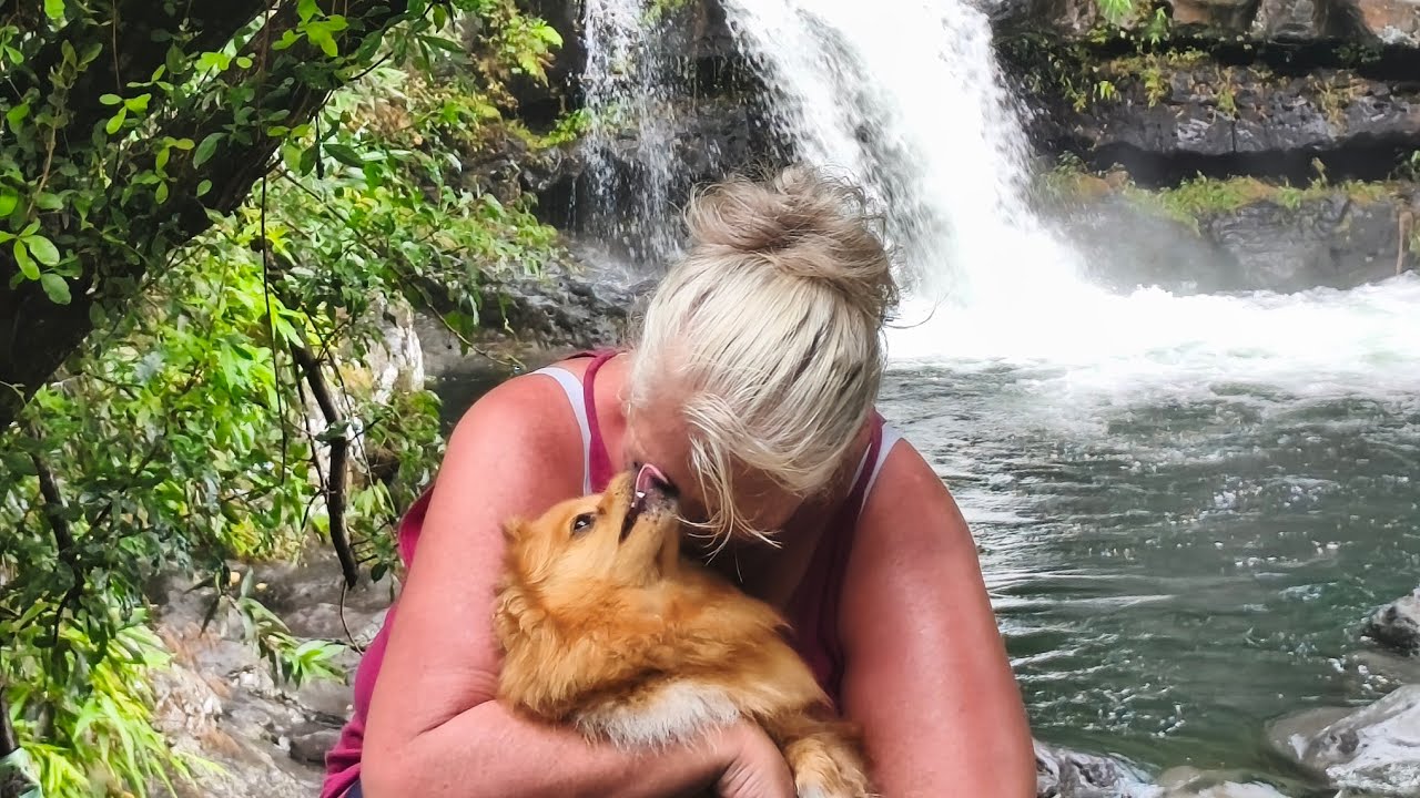 Bienvenus dans cette nouvelle vidéo !La cascade grand galet à #langevin #reunion 