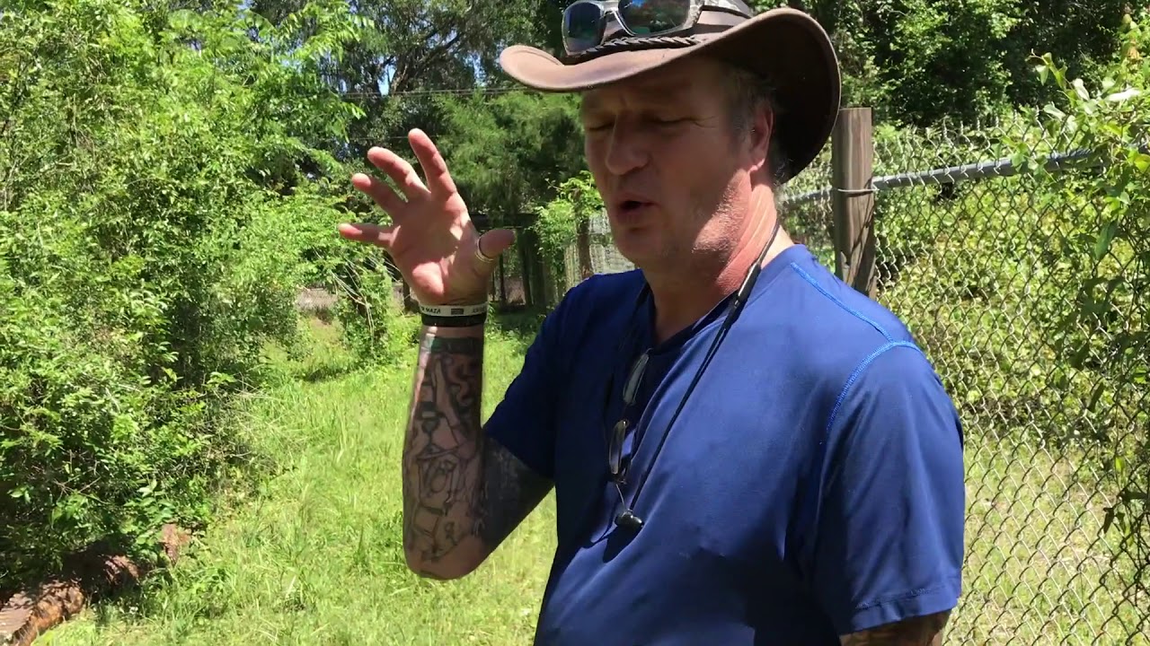 Rob Keszey: Swamp Brothers - Tours His Animal Sanctuary And Educational Center || The Lisa Axelrod