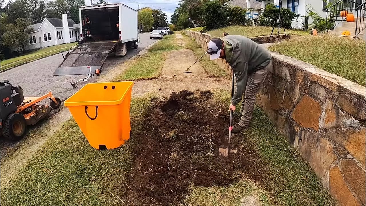 INSANELY OVERGROWN Sidewalk NEGLECTED Homeowner SHOCKED by FREE Cleanup