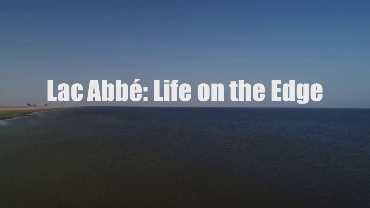 Lac Abbe: Life on the Edge
