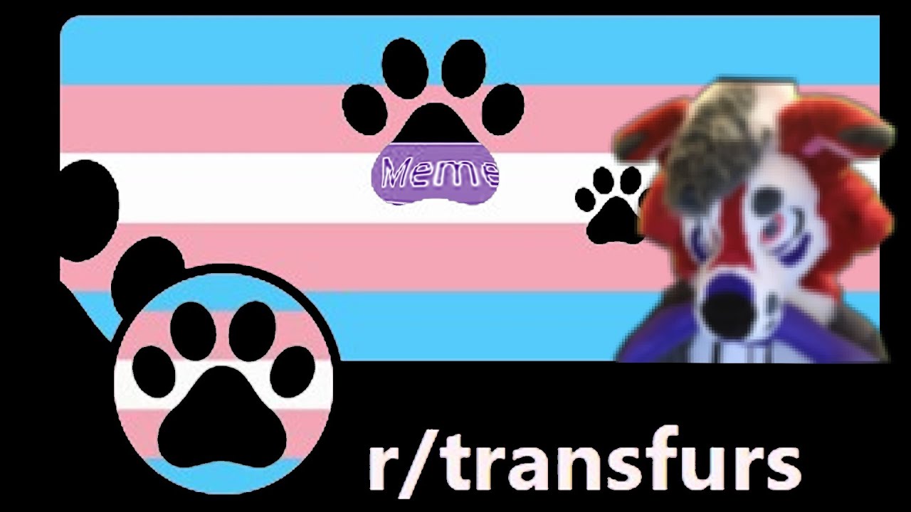 Reddit TRANS MEME CONTENT EP 36 🐾