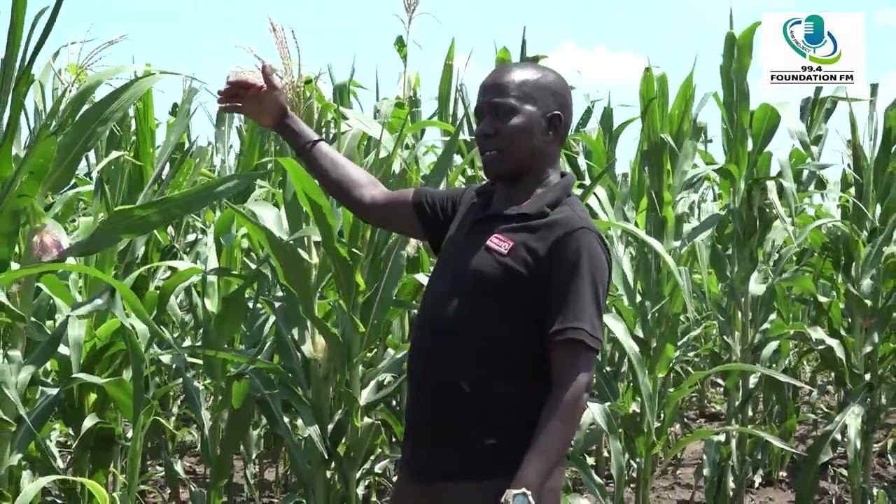 Maridi Organic Farm