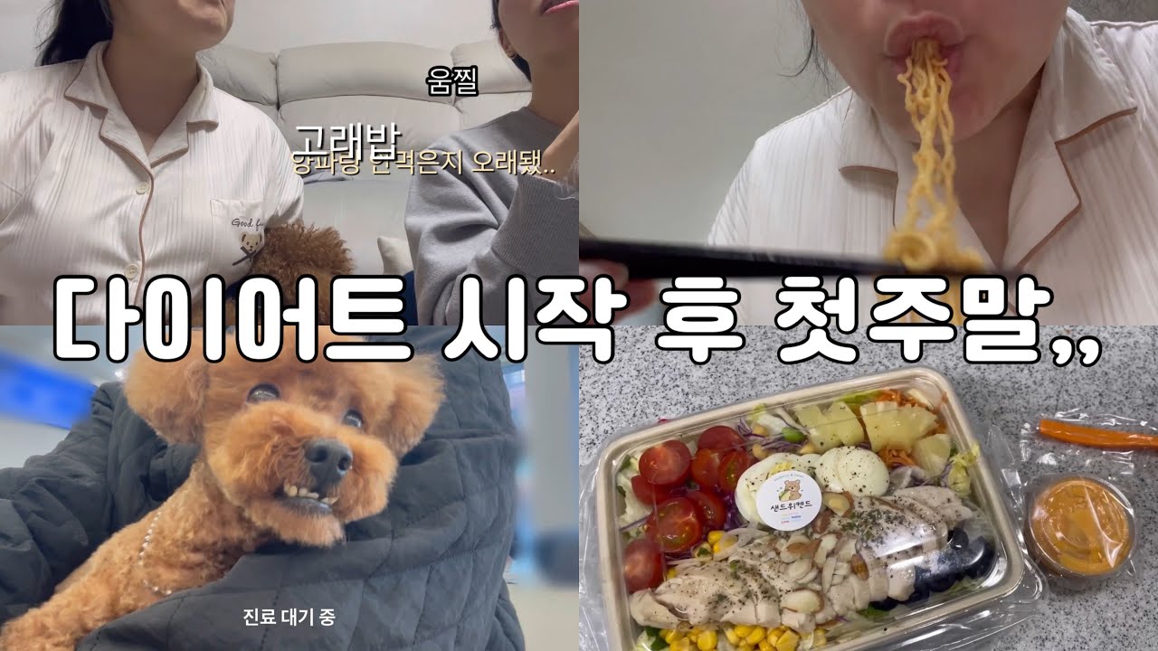 83kg 비만 브이로그 | 다이어트 시작하고 첫 주말 | 친구랑 아무말하기 | 동물병원 다녀오기