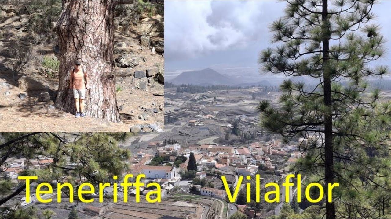 Grym väg till Vilaflor. Utsikt Vandringsled till 2000 möh Bromsarna är nu perfekta på husbilen S1E31