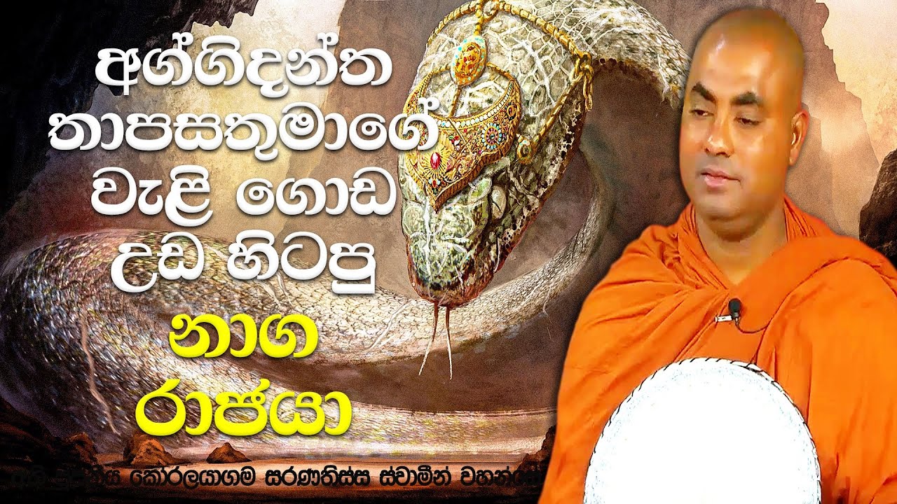 මේ නාග රාජයා මුගලන් හිමියන්ව පුච්චලා මරන්න ශරීරයෙන් ගිනි පිටකරා | Koralayagama Saranathissa Thero