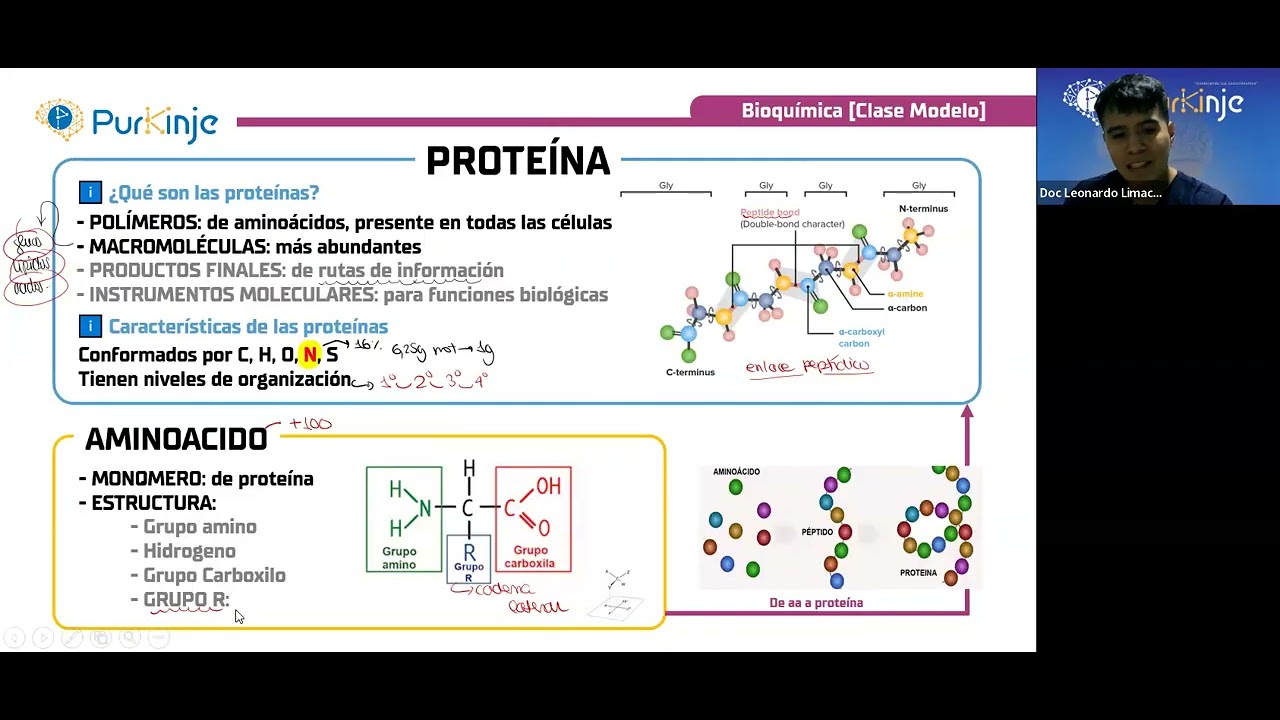 CLASE BIOQUÍMICA