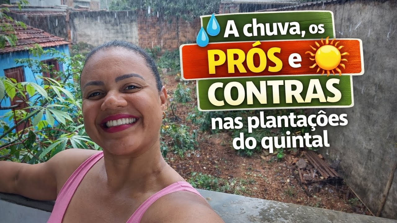 A verdade sobre a chuva nas plantações do quintal