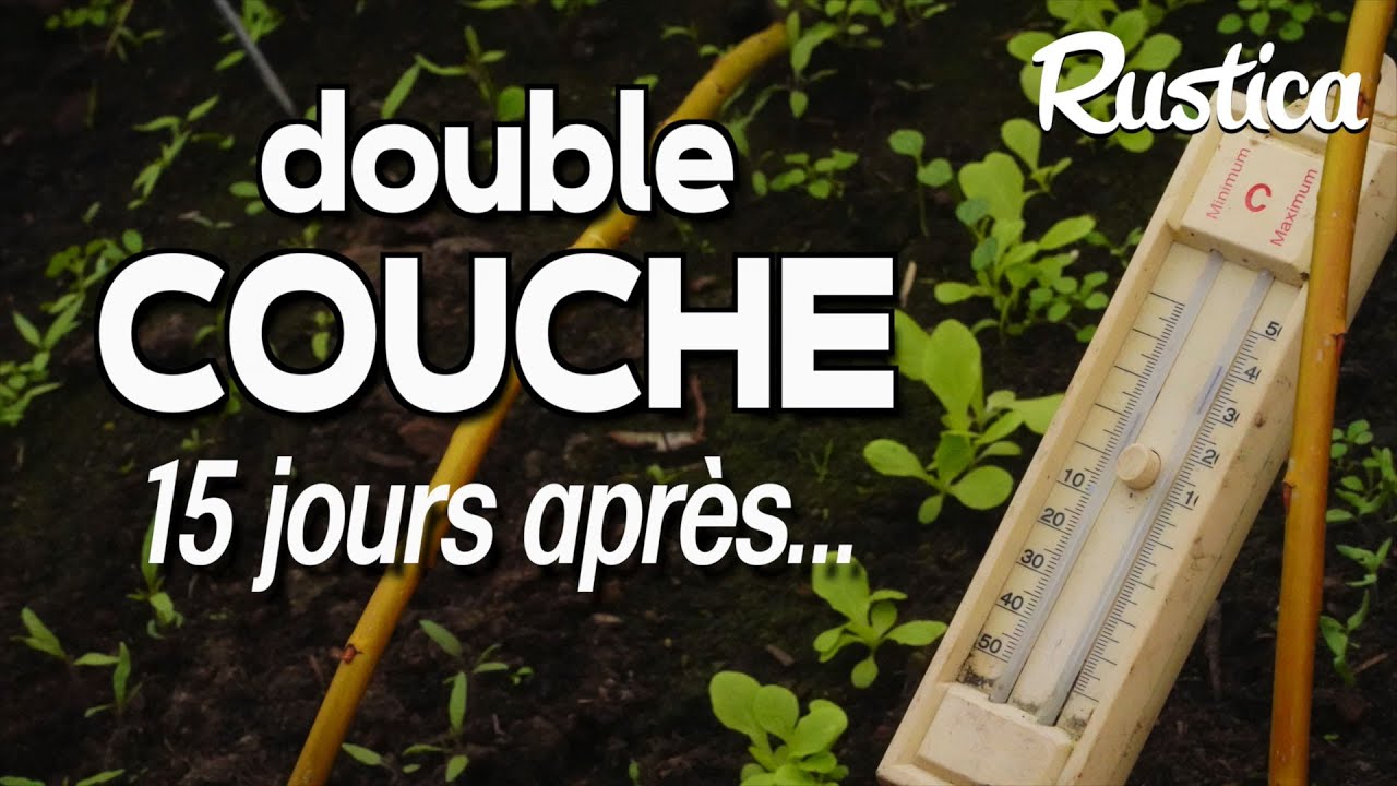 Double couche chaude :  15 jours après