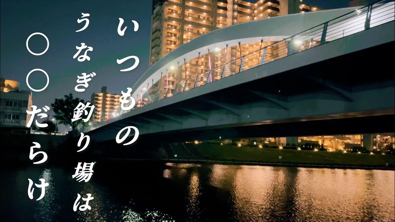 【エビ網の使い方！】いつものうなぎ釣り場の足元には…