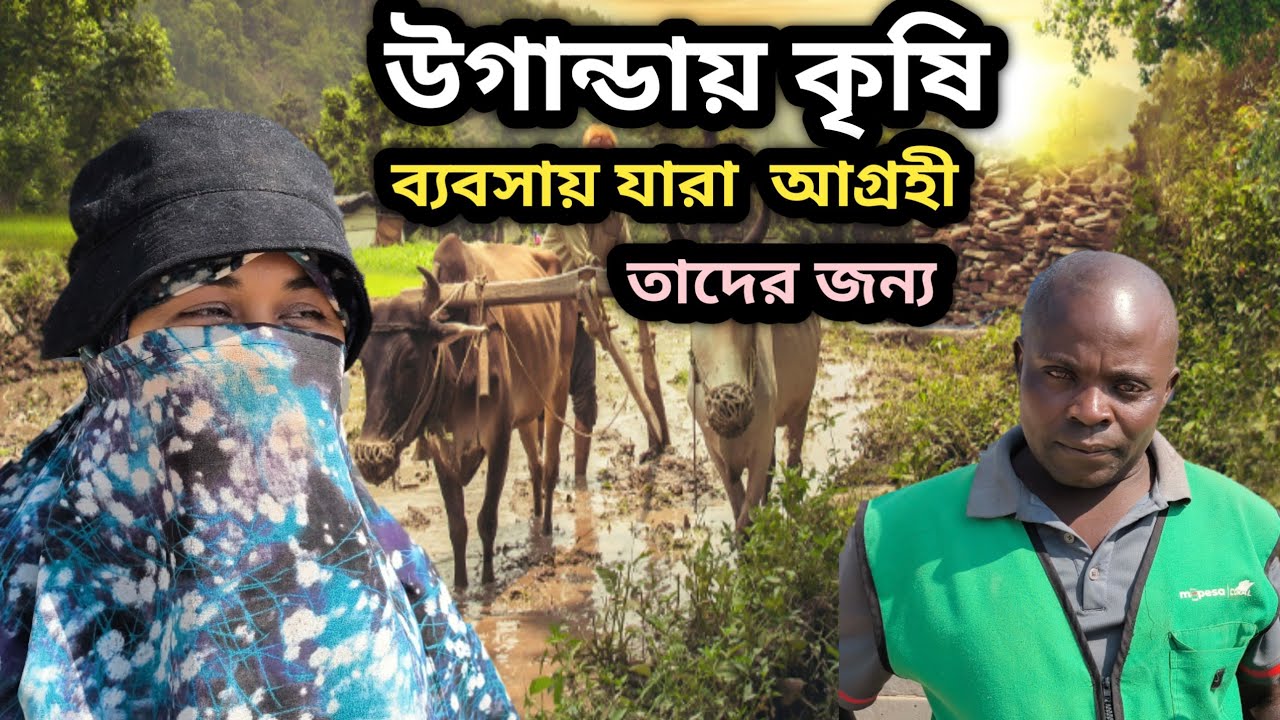 উগান্ডায় ফার্মিং এ আগ্রহীদের জন্য ভিডিওটি