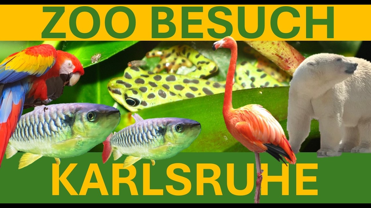 Zoo Karlsruhe, ein Rundgang mit Highlights