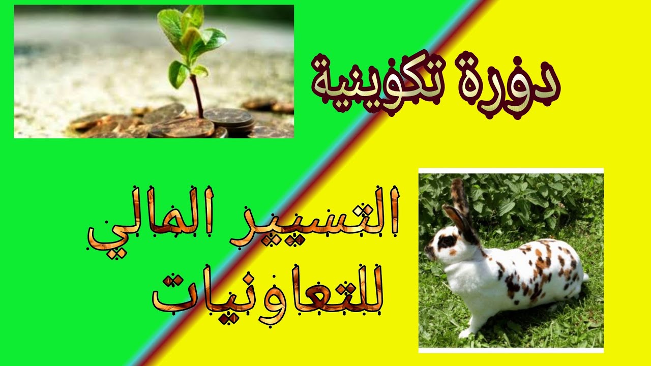 تسيير التعاونيات اجي تفهم كيفاش 📉📈