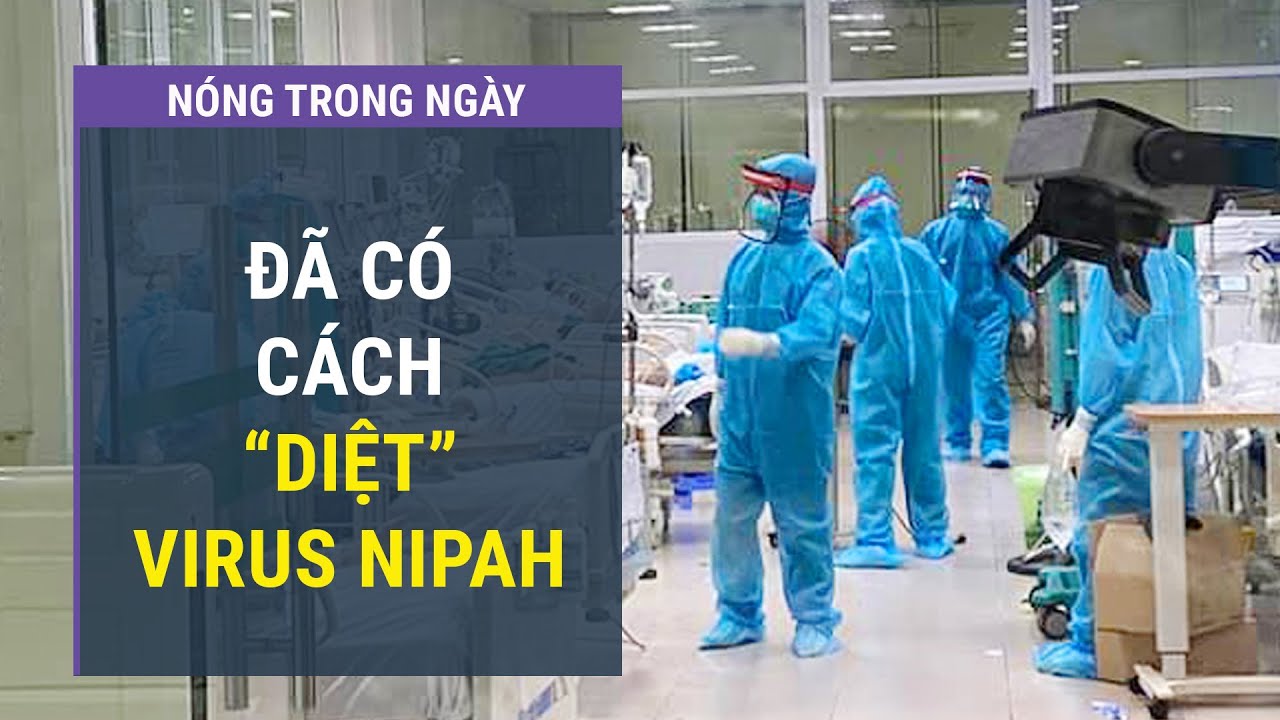 Tin thế giới: Đã tìm ra cách khống chế virus Nipah bằng thuốc COVID-19 của Trung Quốc