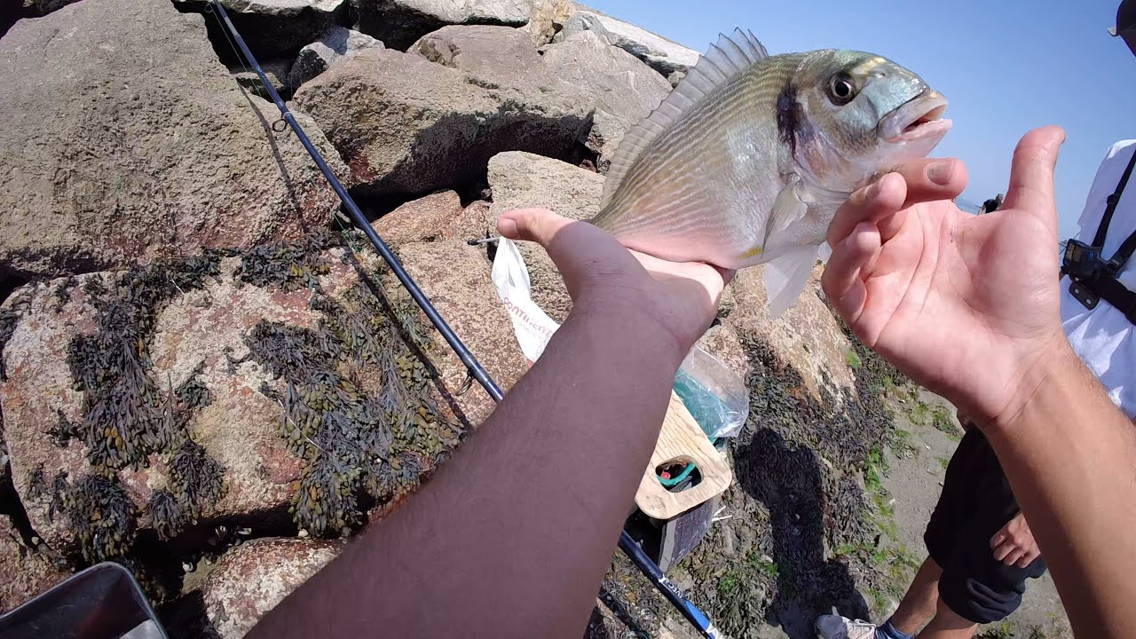 Pesca Descontraída em São Jacinto - C/Outdoors_PT