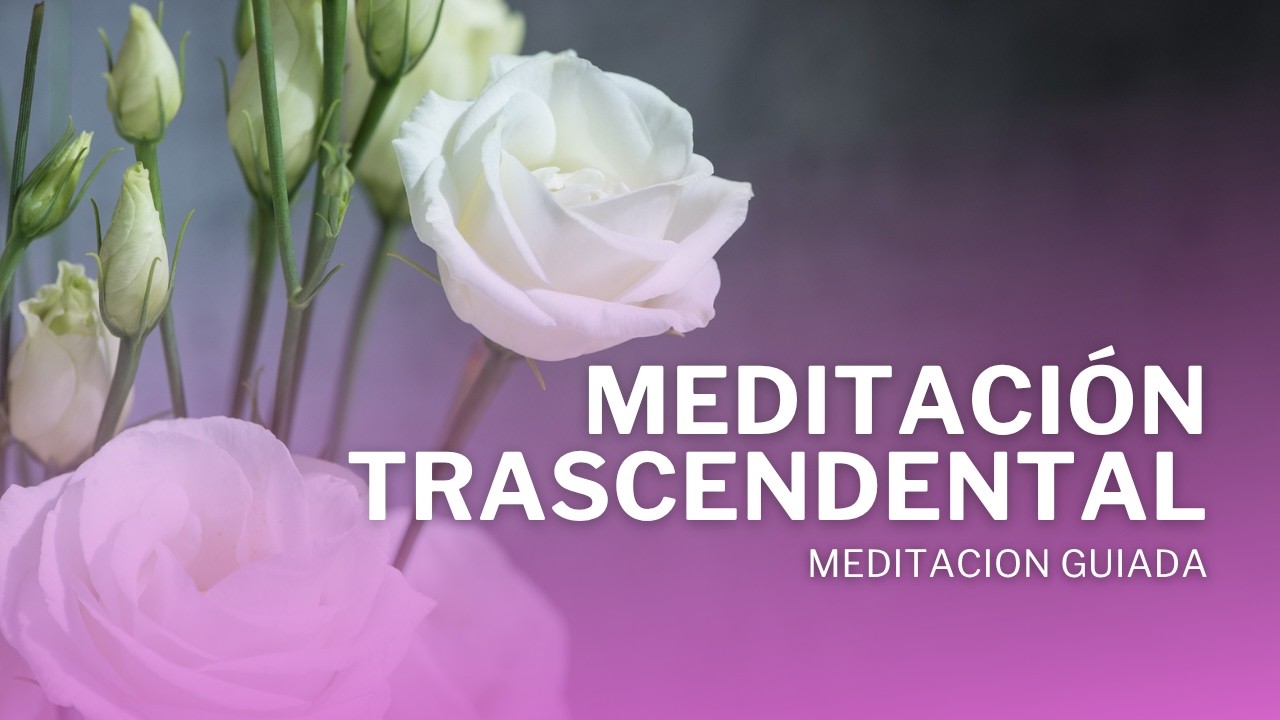 🦋 Meditación Trascendental Guiada 🧘🏽‍♀️✨ | ELEVA tu vibración 💫