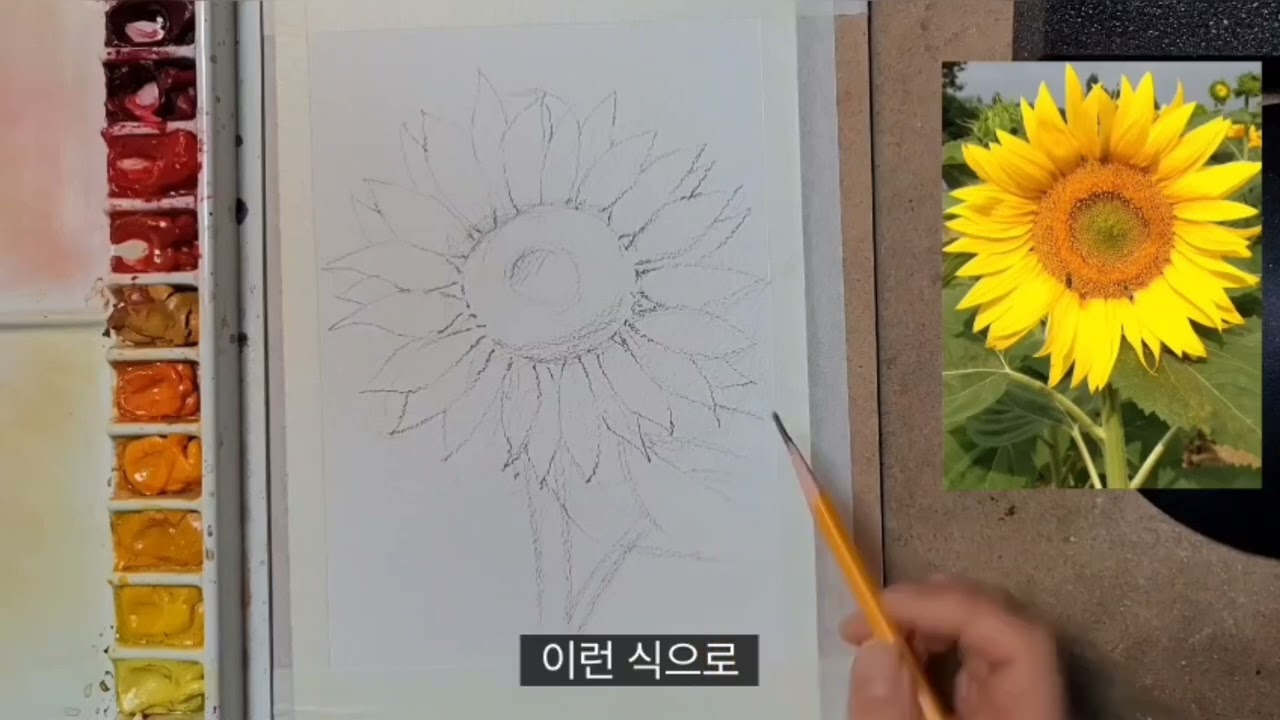 해바라기 밑그림 스케치