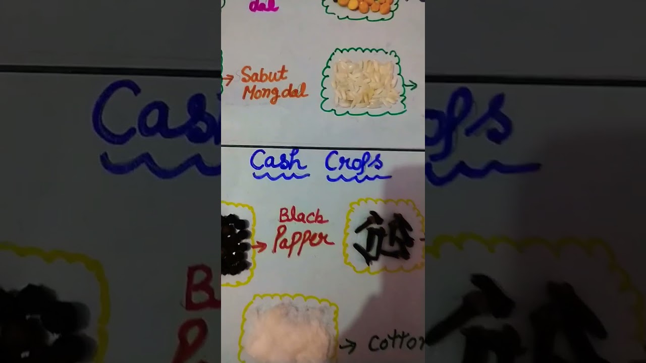food crops & cash crops activity